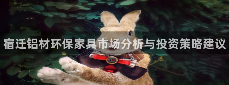 沐鸣2平台招商的流程：宿迁铝材环保家具市场分析与投资策略建议