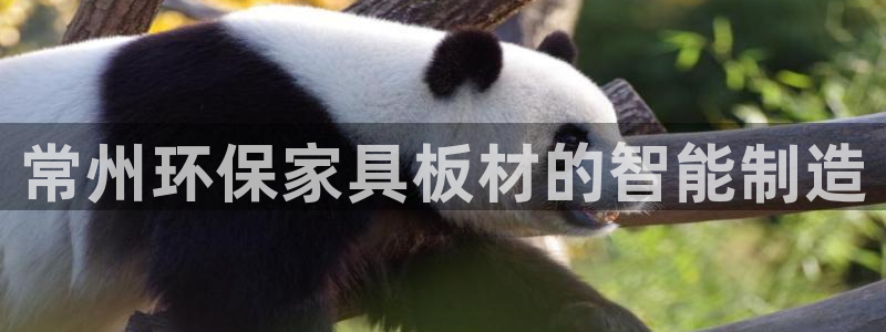 沐鸣2平台首页：常州环保家具板材的智能制造