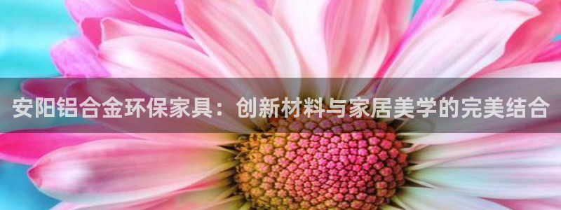 沐鸣2测速注册：安阳铝合金环保家具：创新材料与家居美学的完美