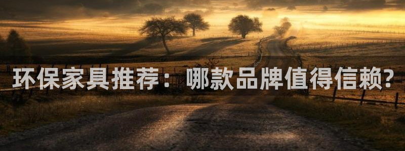 沐鸣2平台还在吗：环保家具推荐：哪款品牌值得信赖?