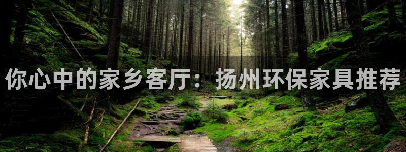 沐鸣2平台待遇：你心中的家乡客厅：扬州环保家具推荐