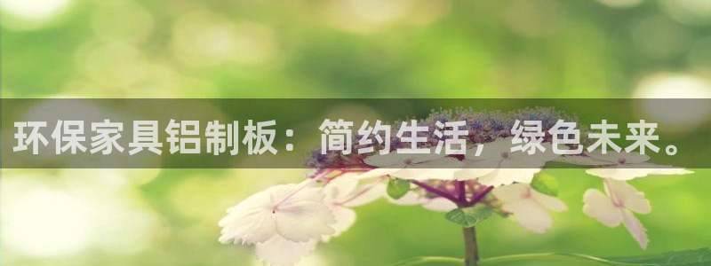 沐鸣2官网登陆：环保家具铝制板：简约生活，绿色未来。