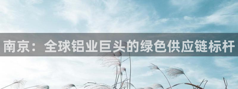沐鸣2代理登录中心怎么进：南京：全球铝业巨头的绿色供应链标杆